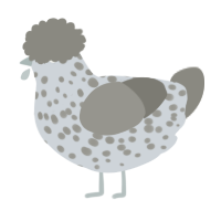 A mist and ash chicken with a speckle pattern