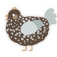 A bark and silver chicken with a speckle pattern