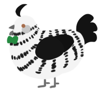 A white and black chicken with a bar pattern