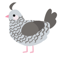 A mist and grey chicken with a lace pattern