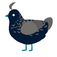 A tumblr and grey chicken with a half-lace pattern