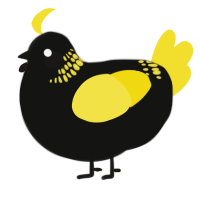 A black and yellow chicken with a neck-band pattern