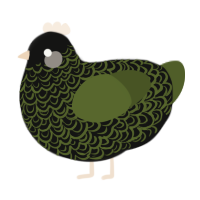 A black and olive chicken with a double-lace pattern