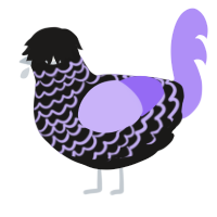 A sable and lilac chicken with a lace pattern