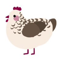 A cream and bark chicken with a half-lace pattern