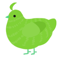 A grass chicken with a bar pattern