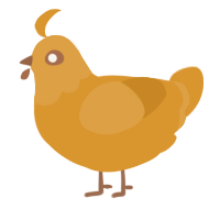 A orange chicken with a head pattern