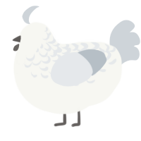 A white and mist chicken with a half-lace pattern