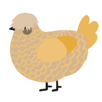 A beige and honey chicken with a lace pattern