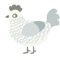 A white and silver chicken with a lace pattern