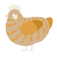 A beige and orange chicken with a bar pattern