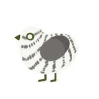 (unnamed), a white and grey chicken with a bar pattern