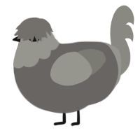 A grey and ash chicken with a head pattern