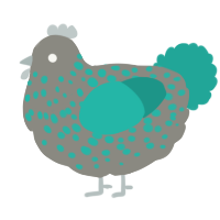 A ash and turquoise chicken with a speckle pattern