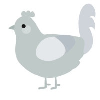 A silver and mist chicken