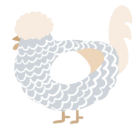 A mist and cream chicken with a lace pattern