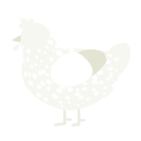 A white chicken with a speckle pattern