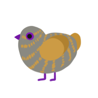 Gold silver, a ash and gold chicken with a bar pattern