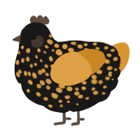 A sable and orange chicken with a speckle pattern