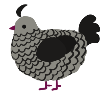 A ash and sable chicken with a lace pattern