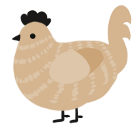 A beige chicken with a bar pattern