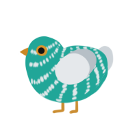 Nikson, a turquoise and mist chicken with a bar pattern