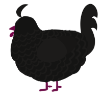 A black and sable chicken with a lace pattern