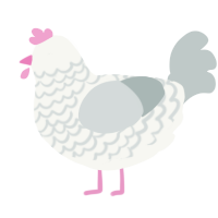 A white and silver chicken with a lace pattern