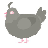 A ash chicken with a head pattern