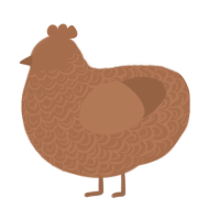 A brown chicken with a double-lace pattern