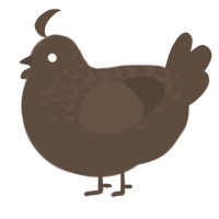 A bark chicken with a half-lace pattern