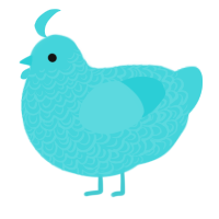 A aqua chicken with a double-lace pattern