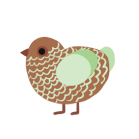 (unnamed), a brown and gluppy chicken with a lace pattern