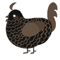 A black and bark chicken with a lace pattern