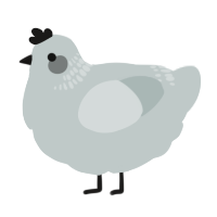 A silver chicken with a neck-band pattern