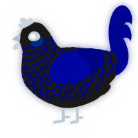 A sable and navy chicken with a lace pattern