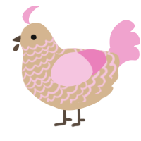 A beige and pink chicken with a lace pattern