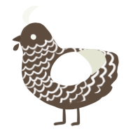 A bark and white chicken with a lace pattern