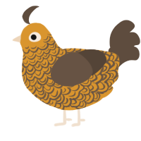 A orange and bark chicken with a double-lace pattern