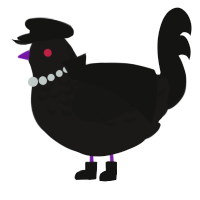 A sable and black chicken with a half-lace pattern