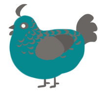 A teal and grey chicken with a half-lace pattern