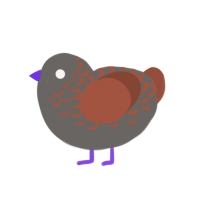 (unnamed), a grey and russet chicken with a half-lace pattern