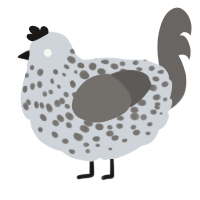 A mist and grey chicken with a speckle pattern