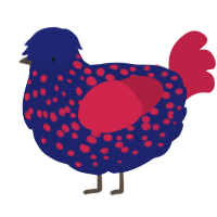 A navy and crimson chicken with a speckle pattern