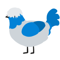 A mist and sapphire chicken with a head pattern