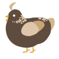 A bark and beige chicken with a neck-speckle pattern