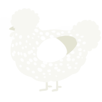 A white chicken with a speckle pattern
