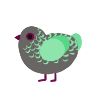 A, a grey and spring chicken with a half-lace pattern