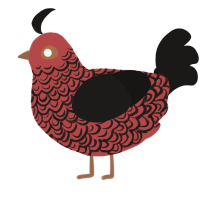A red and sable chicken with a double-lace pattern