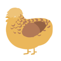 A honey and brown chicken with a half-lace pattern